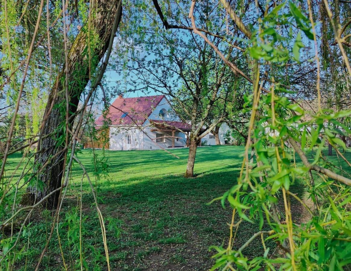 Domaine Saint Loup - 10Min Beaune Saint-Loup-Geanges Exterior foto